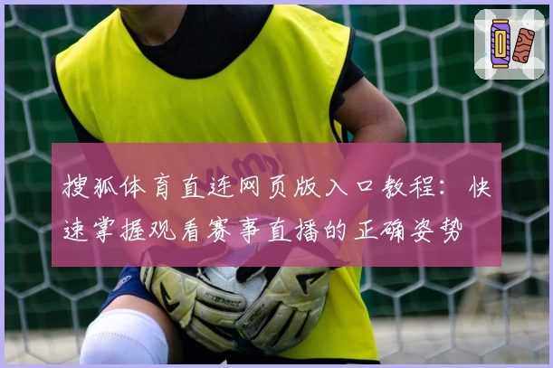 搜狐体育直连网页版入口教程：快速掌握观看赛事直播的正确姿势