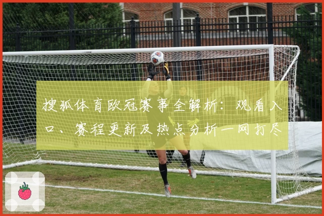 搜狐体育欧冠赛事全解析：观看入口、赛程更新及热点分析一网打尽