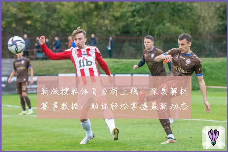 新版搜狐体育分析上线，深度解析赛事数据，助你轻松掌握最新动态