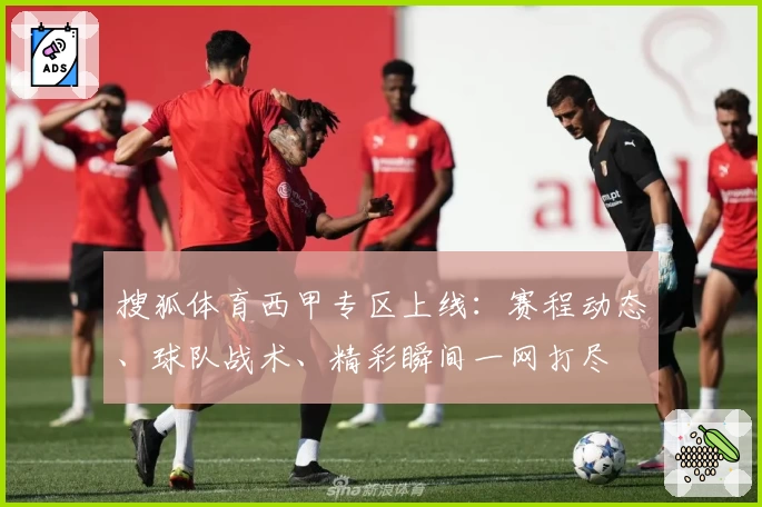 搜狐体育西甲专区上线：赛程动态、球队战术、精彩瞬间一网打尽