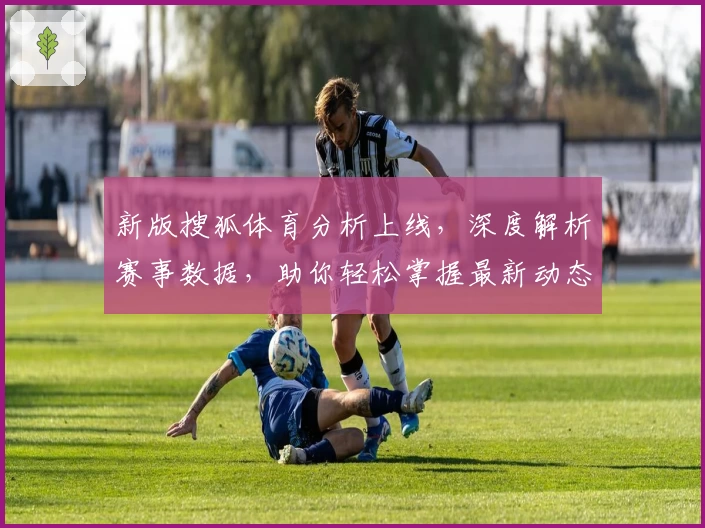 新版搜狐体育分析上线，深度解析赛事数据，助你轻松掌握最新动态