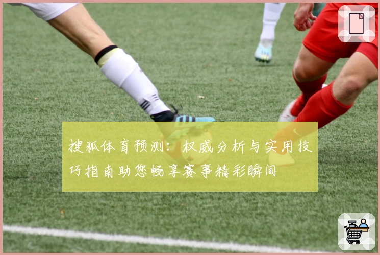 搜狐体育预测：权威分析与实用技巧指南助您畅享赛事精彩瞬间
