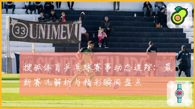 搜狐体育乒乓球赛事动态追踪：最新赛况解析与精彩瞬间盘点
