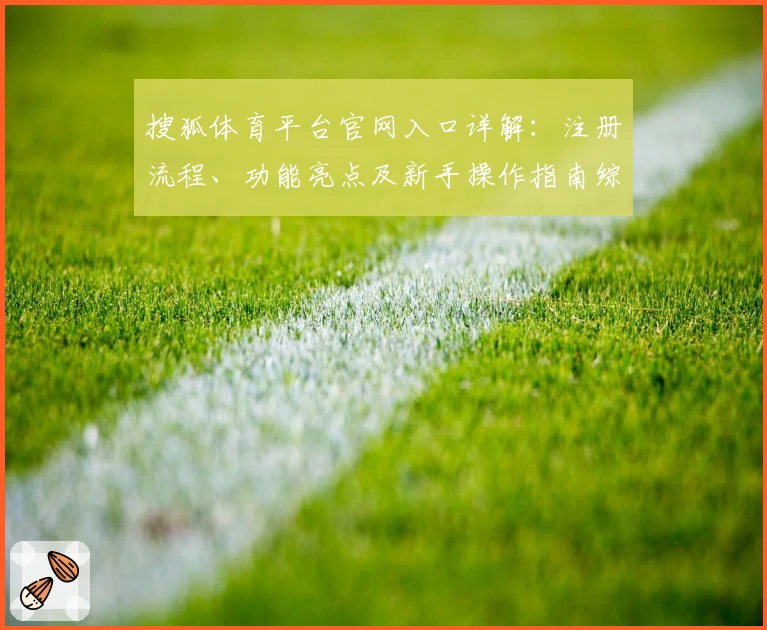 搜狐体育平台官网入口详解:注册流程、功能亮点及新手操作指南综合评测